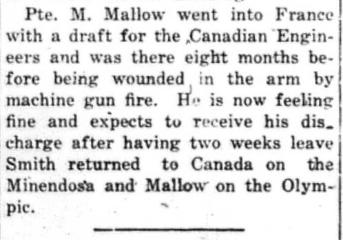 Canadian Echo Wiarton, December 18, 1918